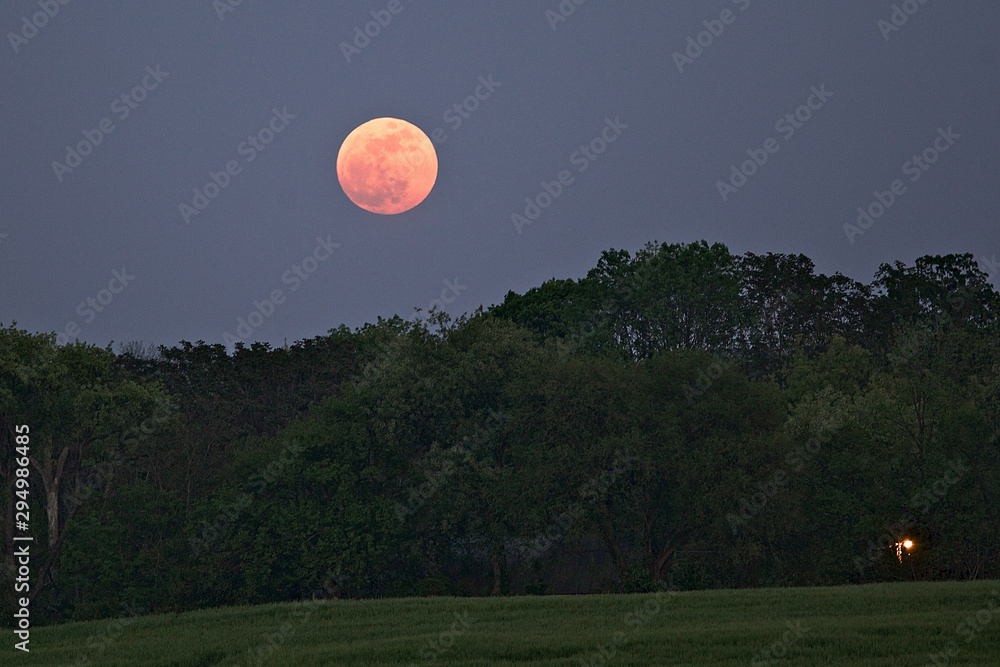 Harvest moon at twilight over hill of trees