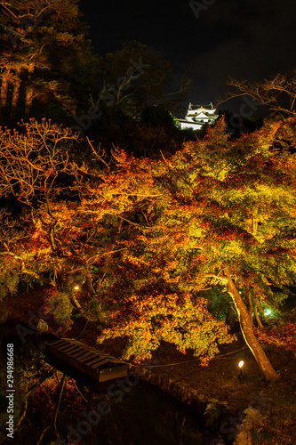 日本の秋 滋賀 彦根城玄宮園38 　Autumn in Japan, Shiga Prefecture,Hikone Castle Genkyu-en Garden #38 photo