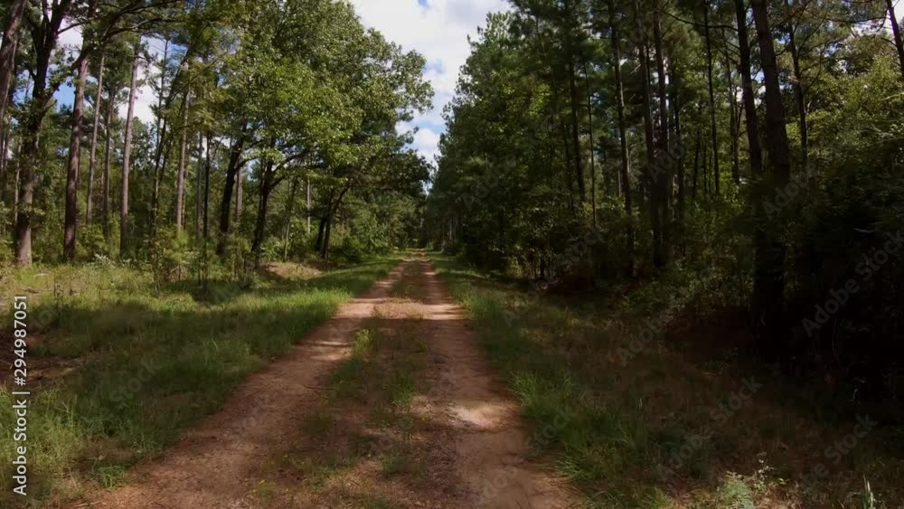 Flying drone down a forest road in Texas 1 Flying drone down a forest road in Texas 1