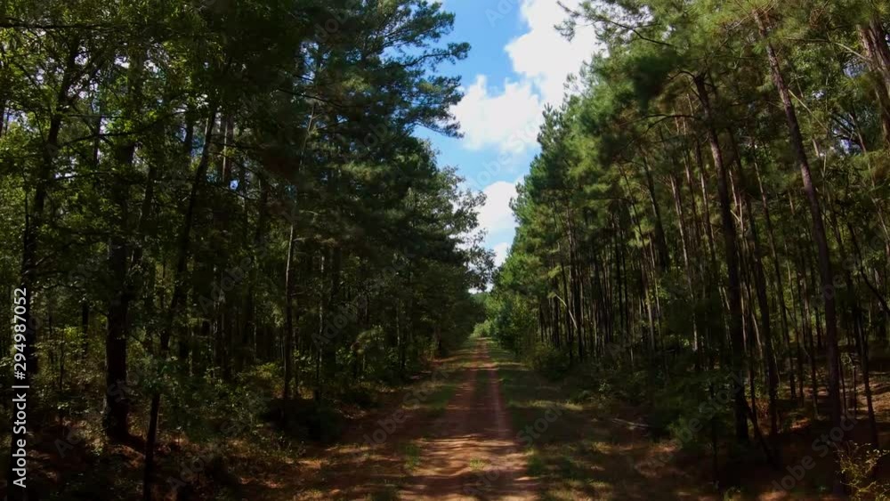 Flying drone down a forest road in Texas 3 Flying drone down a forest road in Texas 3