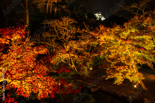 日本の秋 滋賀 彦根城玄宮園39 　Autumn in Japan, Shiga Prefecture,Hikone Castle Genkyu-en Garden #39 photo