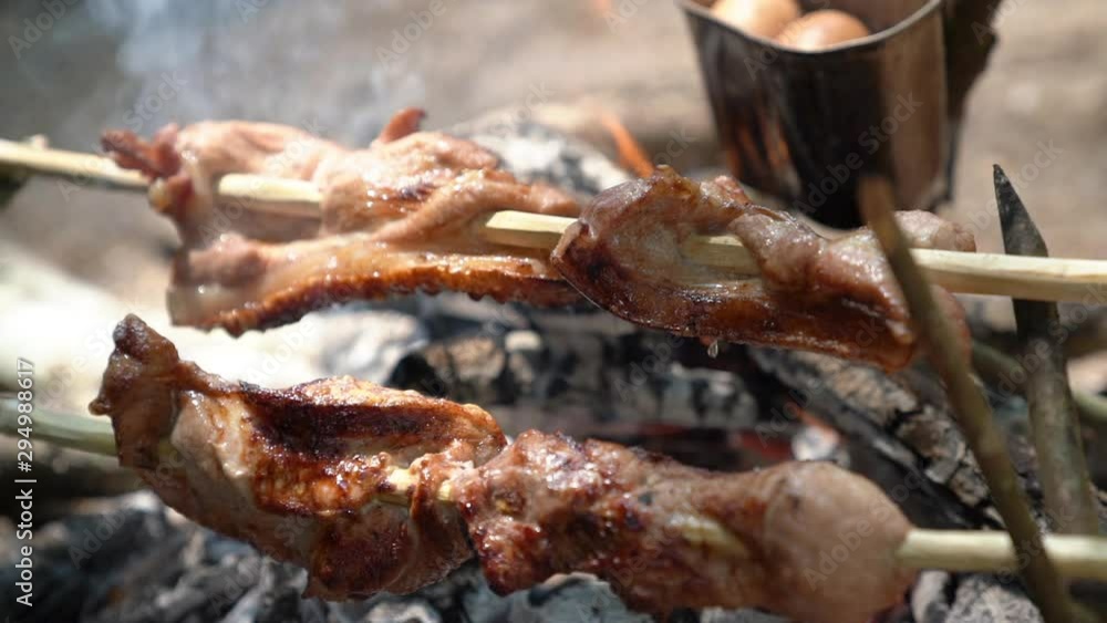 HD Slow motion medium shot of grilling BBQ pork meat on bonfire at camping field. Roasting steak meat on fire flames from firewood with smoke in forest. Outdoor cooking food for hiking trip camping. HD Slow motion medium shot of grilling BBQ pork meat on bonfire at camping field. Roasting steak meat on fire flames from firewood with smoke in forest. Outdoor cooking food for hiking trip camping.