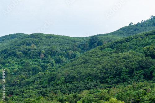 Landscape view of Fresh green trees on tropical nature mountain hill background.