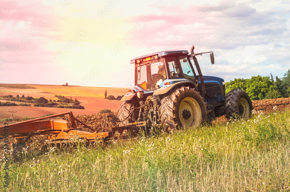 Fototapeta premium Tractor on the field
