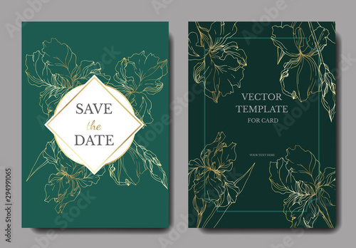 Vector Iris floral botanical flowers. Black and white engraved ink art. Wedding background card decorative border.