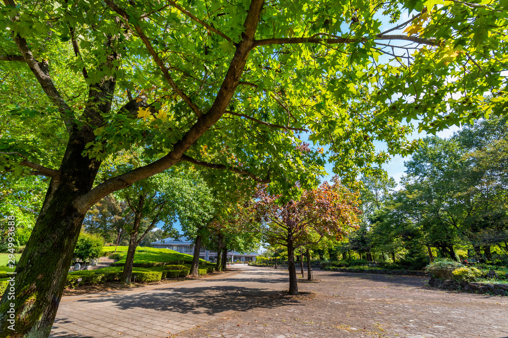 柏の葉公園の風景