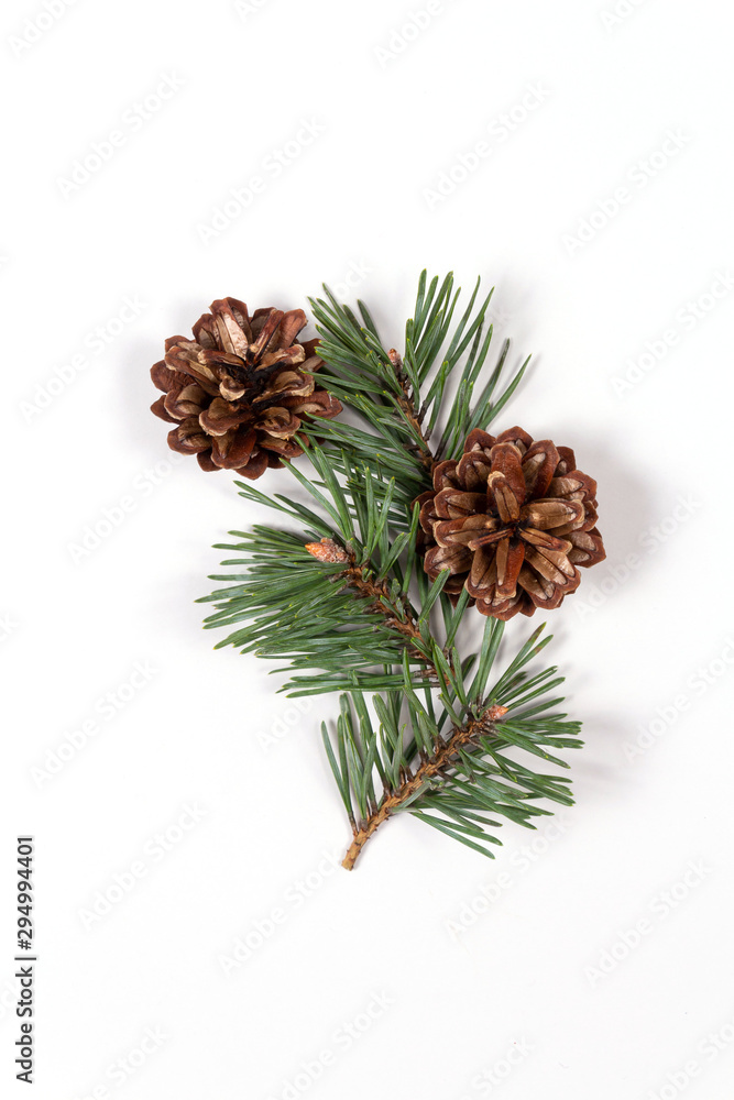 Christmas composition of pine tree branch with cones on white background. Top view. Christmas composition of pine tree branch with cones on white background. Top view.