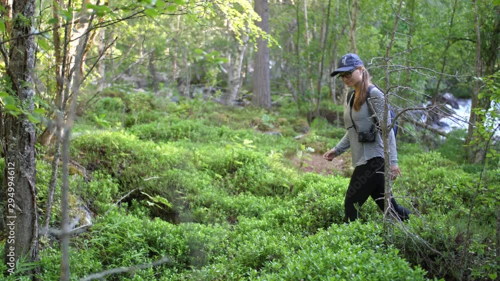 A young woman is taking a walk, hiking in the green and lush nature of Norway. Going up a small hill in the forest during a beautiful sunset with casual outdoor clothing with a cap and a camera. A young woman is taking a walk, hiking in the green and lush nature of Norway. Going up a small hill in the forest during a beautiful sunset with casual outdoor clothing with a cap and a camera.