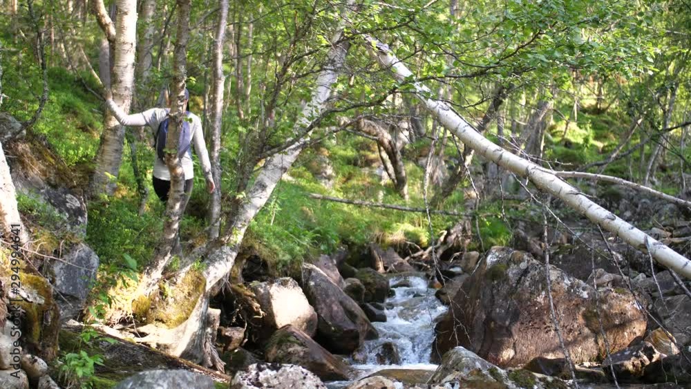 A young and fit woman is hiking between trees on the side bank of a small stream with her cap and backpack on. Sun is shining through the forest with the water of the small creek runs beside her. A young and fit woman is hiking between trees on the side bank of a small stream with her cap and backpack on. Sun is shining through the forest with the water of the small creek runs beside her.