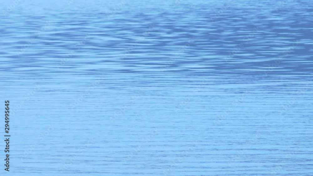 水面の揺らぎ 水面の揺らぎ