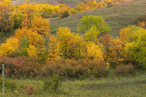 Autumn foilage in a Saskatchewan valley