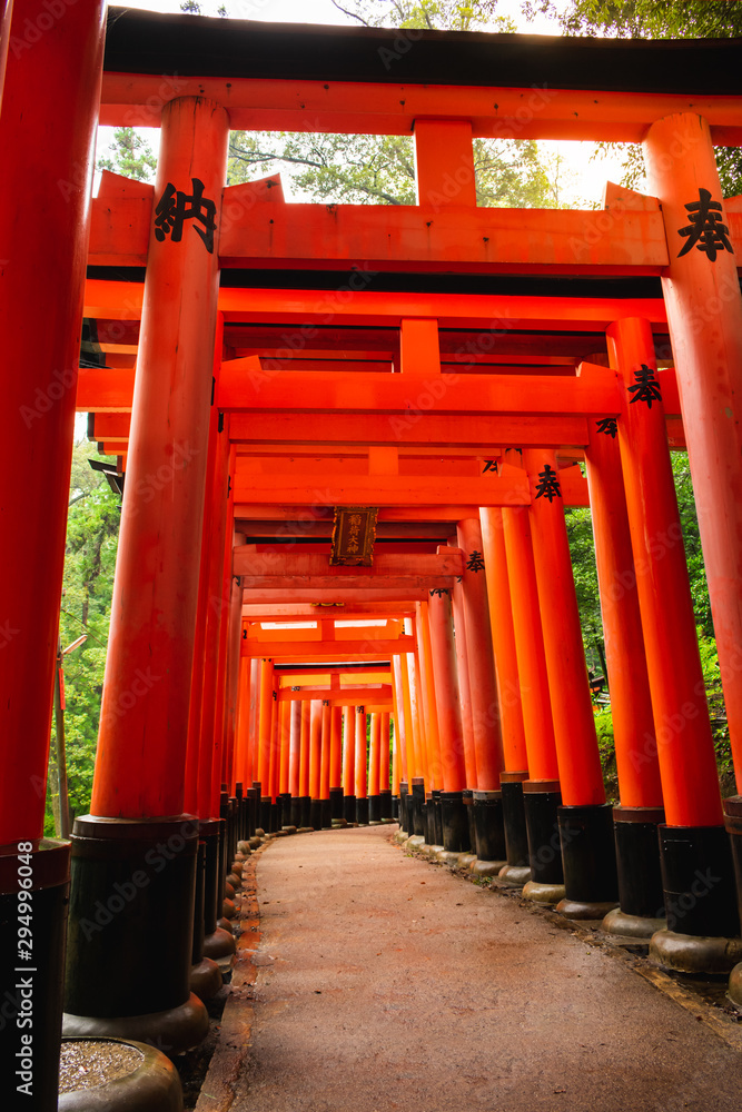 An empty path between beatuful red torii gates in the Fushimi Inari shrine in Kyoto, Japan An empty path between beatuful red torii gates in the Fushimi Inari shrine in Kyoto, Japan