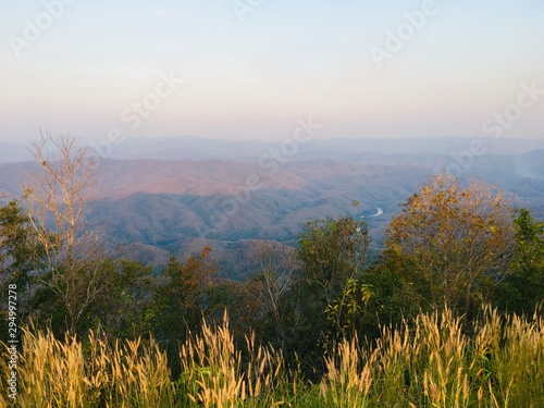 Landscape view point of low mountain, see tree cover mountain and grass flower foreground
