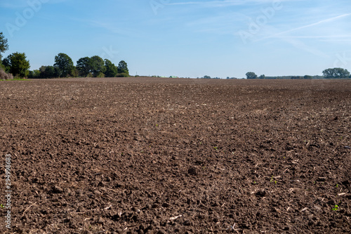 A plowed and harrowed field