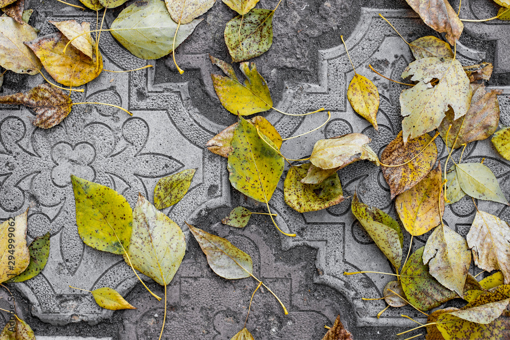 Obraz premium yellow leaves on the asphaltYellow autumn leaves lie on the paving slabs. A naturally recurring pattern of the background
