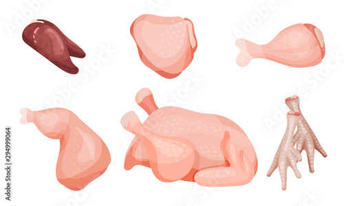 Set Of Raw Chicken Parts. Top And Side View.