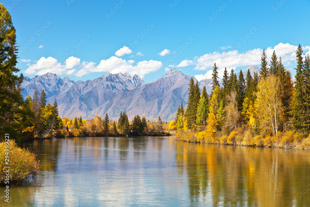 Tranquil beautiful autumn landscape with a reflection of yellowed trees and a mountain range in a wide river on a sunny day. Siberia, Baikal region, Eastern Sayan,  Buryatia, Tunka Valley, Irkut River