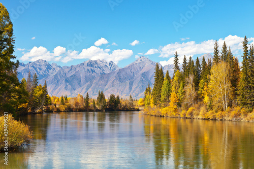 Tranquil beautiful autumn landscape with a reflection of yellowed trees and a mountain range in a wide river on a sunny day. Siberia, Baikal region, Eastern Sayan,  Buryatia, Tunka Valley, Irkut River © Katvic