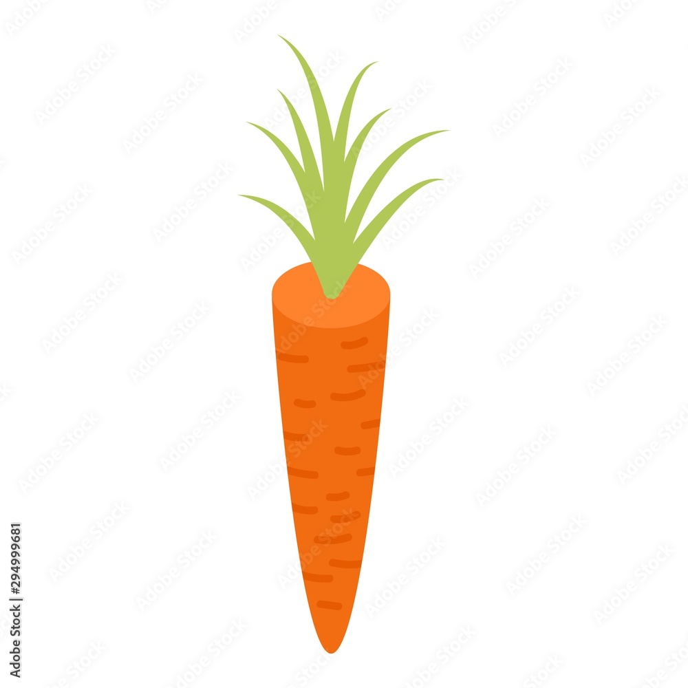 Orange carrot icon. Isometric of orange carrot vector icon for web design isolated on white background Orange carrot icon. Isometric of orange carrot vector icon for web design isolated on white background