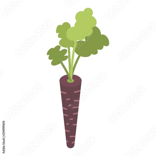 Black carrot icon. Isometric of black carrot vector icon for web design isolated on white background