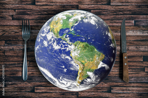 Fototapeta Naklejka Na Ścianę i Meble -  The planet Earth plate with a fork and knife on a wooden background. World hunger concept. Feed the world.