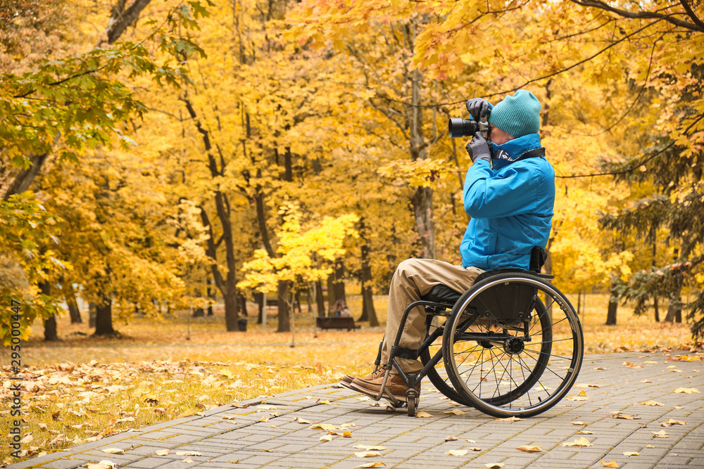 wheelchair man  taking pictures, disabled photographer in yellow autumn park  - obrazy, fototapety, plakaty 