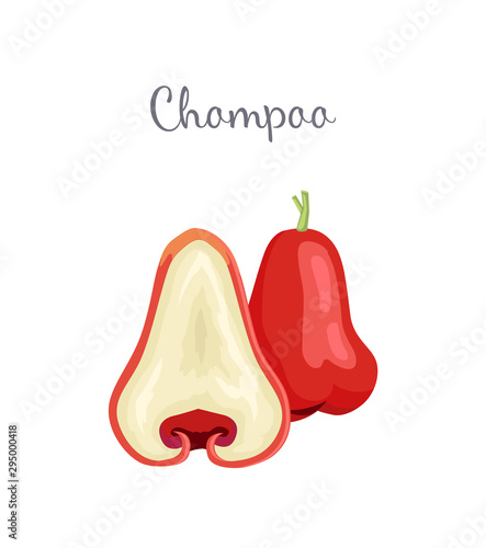 Champoo exotic juicy fruit whole and cut vector isolated. Java apple, Semarang rose-apple and wax jambu, Syzygium samarangense. Tropical edible food icon
