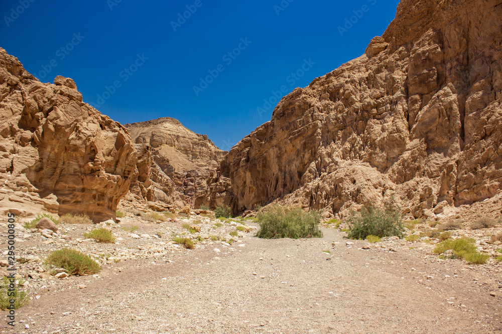 desert canyon wild ground passage between picturesque sand stone rocky mountains USA national touristic destination for travel and sightseeing 