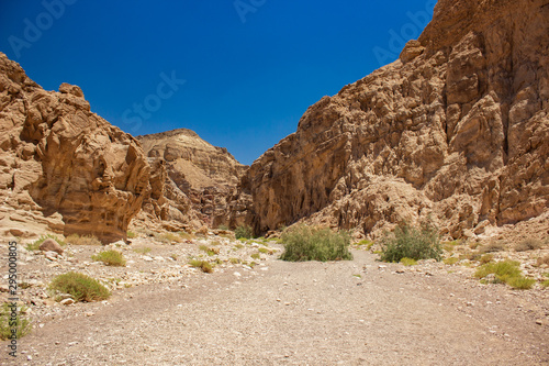 desert canyon wild ground passage between picturesque sand stone rocky mountains USA national touristic destination for travel and sightseeing 