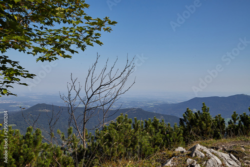 Mountain peaks visible through the trees on a good summer day