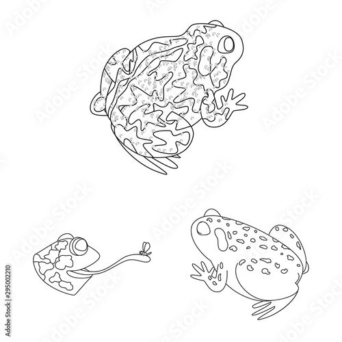 Vector illustration of amphibian and animal icon. Collection of amphibian and nature stock symbol for web.
