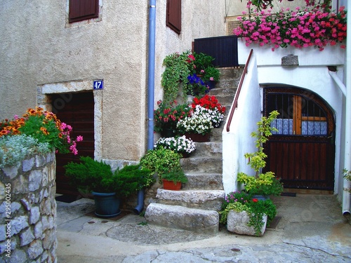 flower flowers street old punat house stairs photo