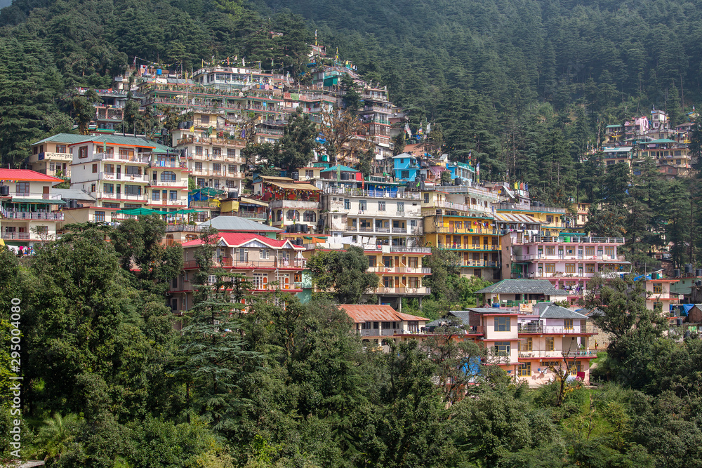 Colorful houses and a green pine forest in Himalaya mountains in Dharamsala, India