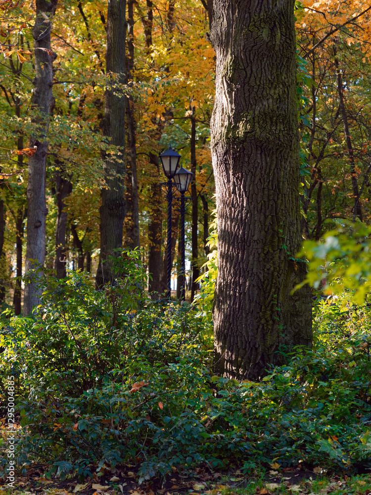 Autumn landscape in a city park. Gomel, Belarus Autumn landscape in a city park. Gomel, Belarus
