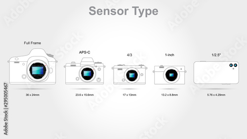 Digital camera sensor format (on scale 1: 1)