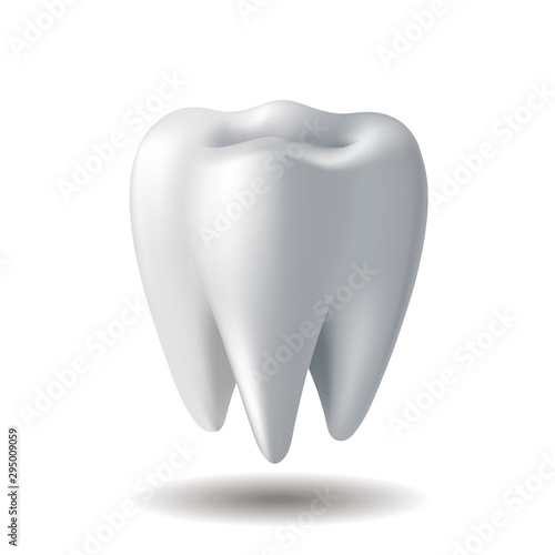 Realistic white Tooth isolated on white background
