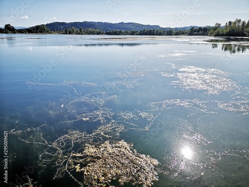 Badesee Steiermark photo