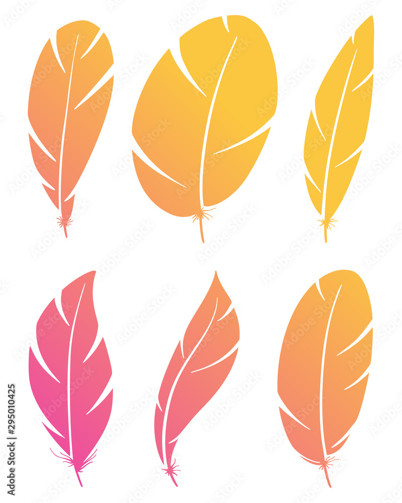 Set of different bird wing feathers. Flying quills symbols. Vector image.