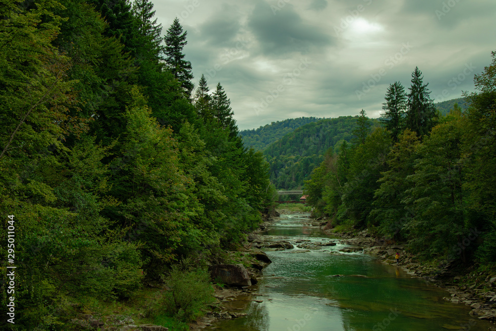 spruce highland mountain forest dramatic scenery landscape with river stream in cloudy rainy autumn weather time spruce highland mountain forest dramatic scenery landscape with river stream in cloudy rainy autumn weather time