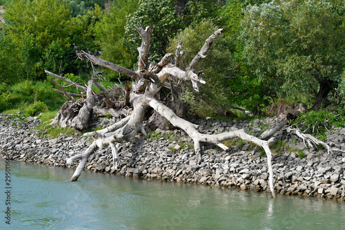 Austria, Danube, Nature © fotofritz16