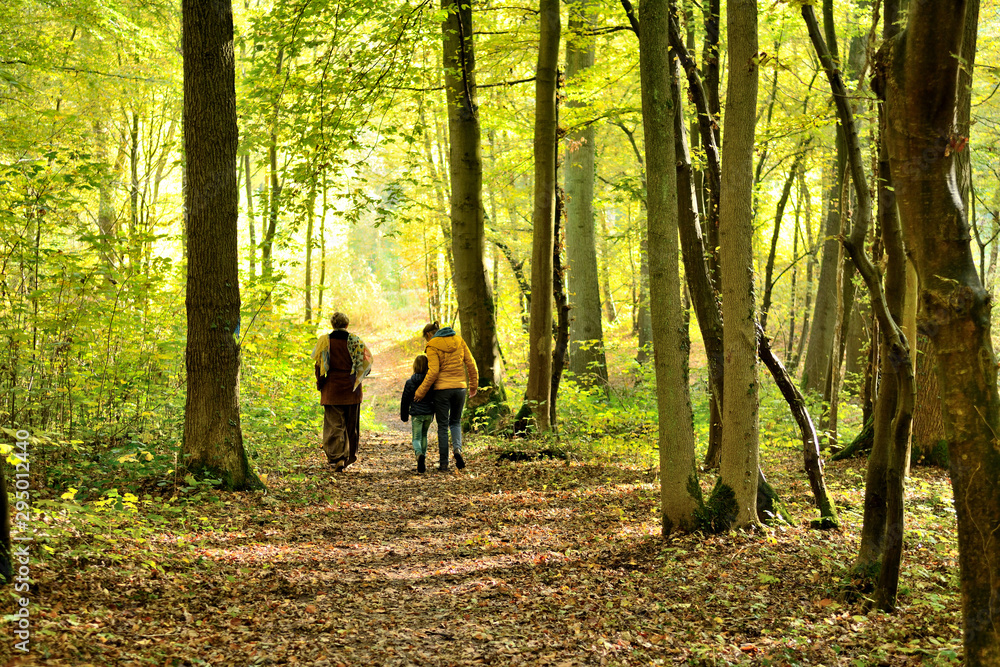 Fotka „Trail winding through an automnal colored forest. Closeup on walkers in the woods