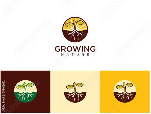  Seed Grow Logo Vector Illustration . Park Seed, Vegetable Seeds, Flower Seeds, Plants, Bulbs, Trees