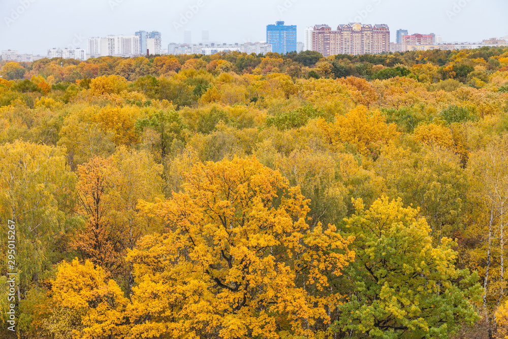 yellow park and residential district on horizon