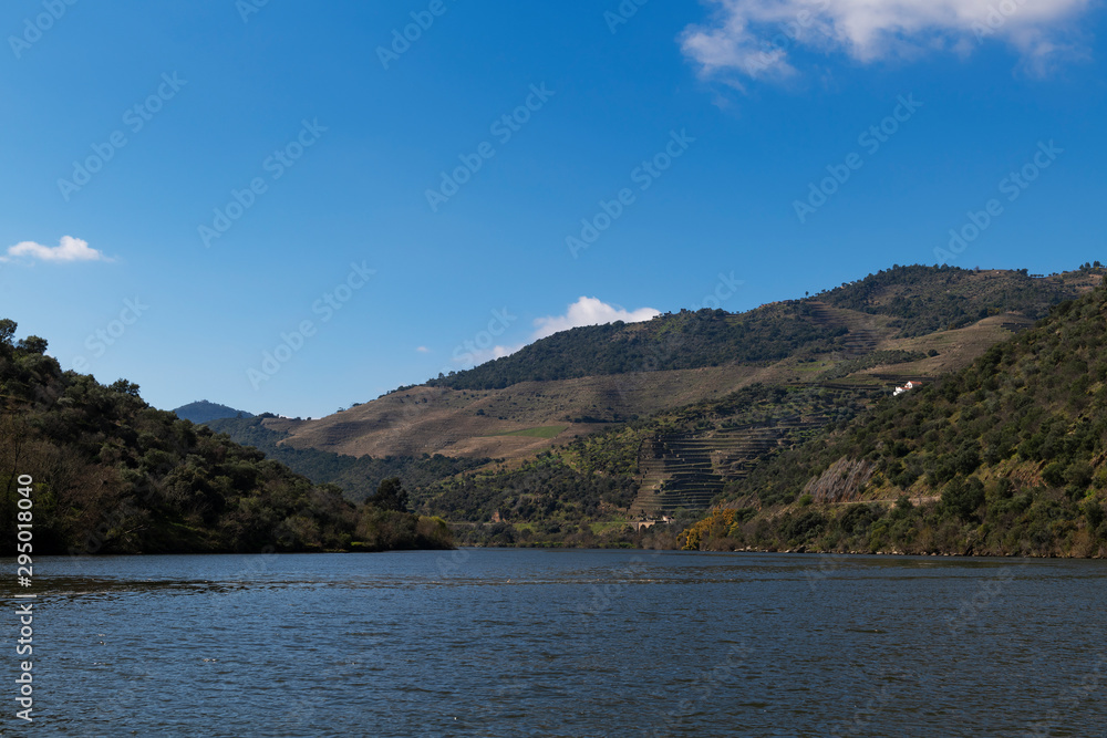 Scenic view of the Douro River and terraced vineyards near the Tua village, in Portugal Scenic view of the Douro River and terraced vineyards near the Tua village, in Portugal