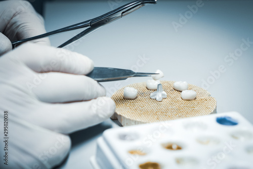 processing and correction of the dental crown. laboratory