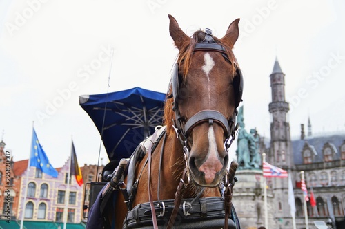 horse carriage, background of the historic Bruges City Hall on Burg Square in autumn. medieval historic city. Brugge streets and historic center and buildings.