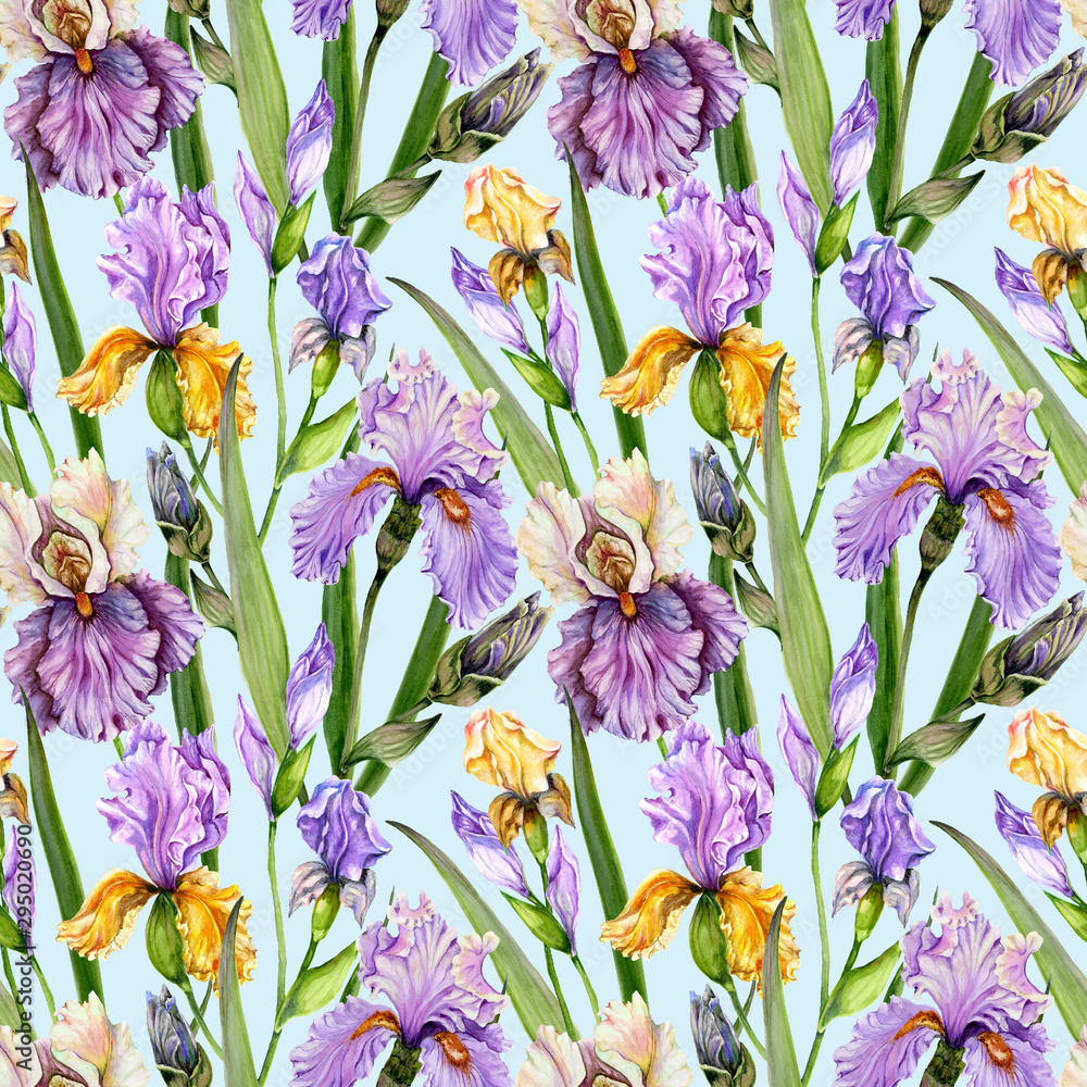 Beautiful iris flowers and leaves on cyan background. Seamless exotic floral pattern. Watercolor painting. Hand drawn illustration.