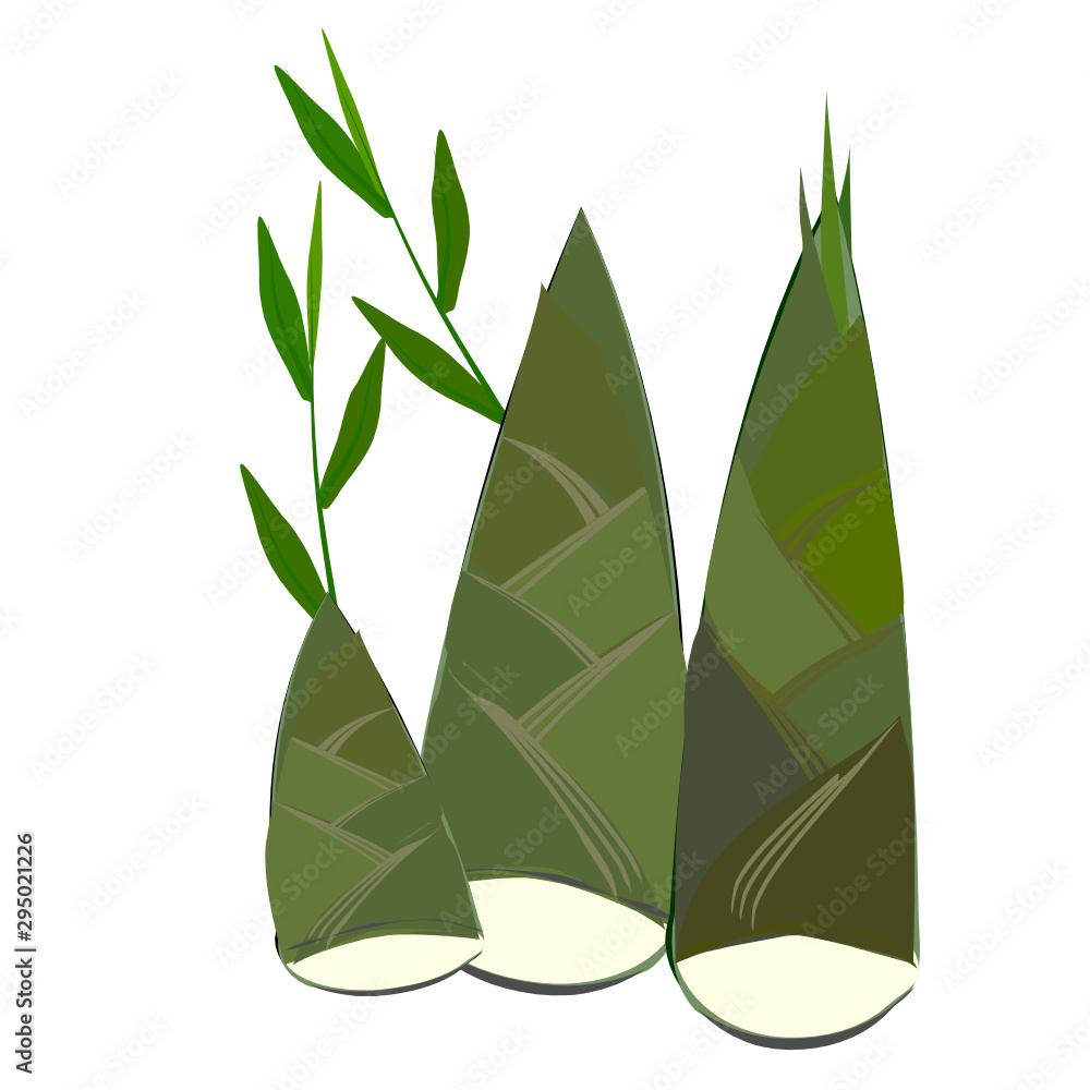 Bamboo shoots (Bambusa vulgaris), young shoots eaten as vegetables, a