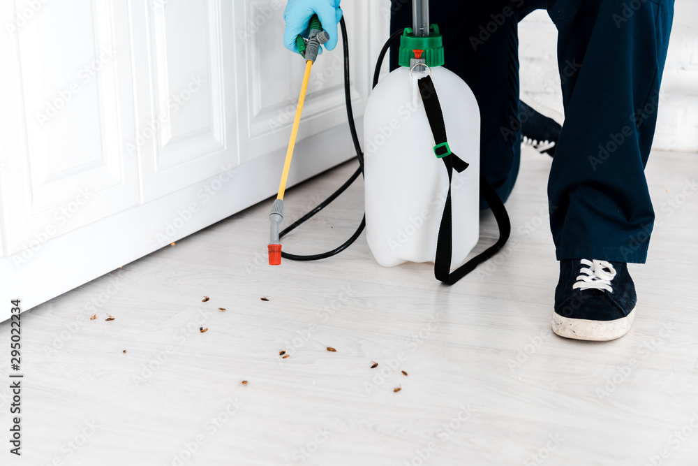 Φωτογραφία cropped view of man holding toxic spray near cockroaches on floor in kitchen
