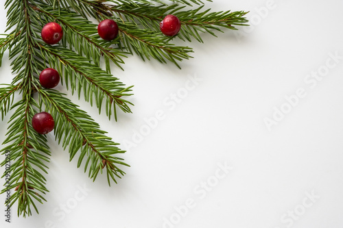 Background for Christmas and new year cards with a branch of spruce and red berries. Isolated. Copy space.
